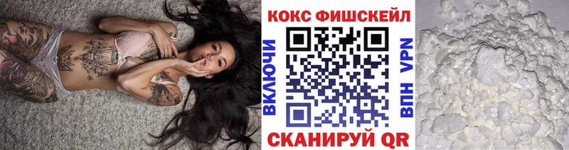 где купить наркоту  OMG tor  COCAIN Fish Scale  Челябинск 